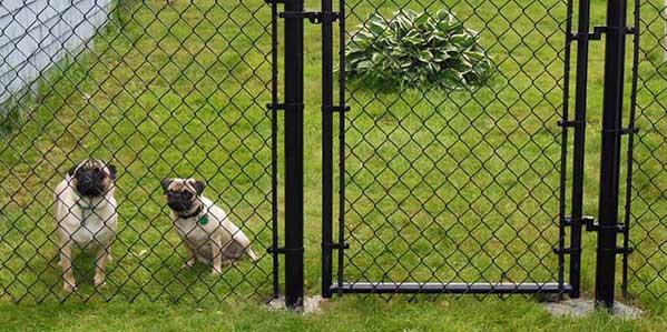 —  Recinzioni per animali